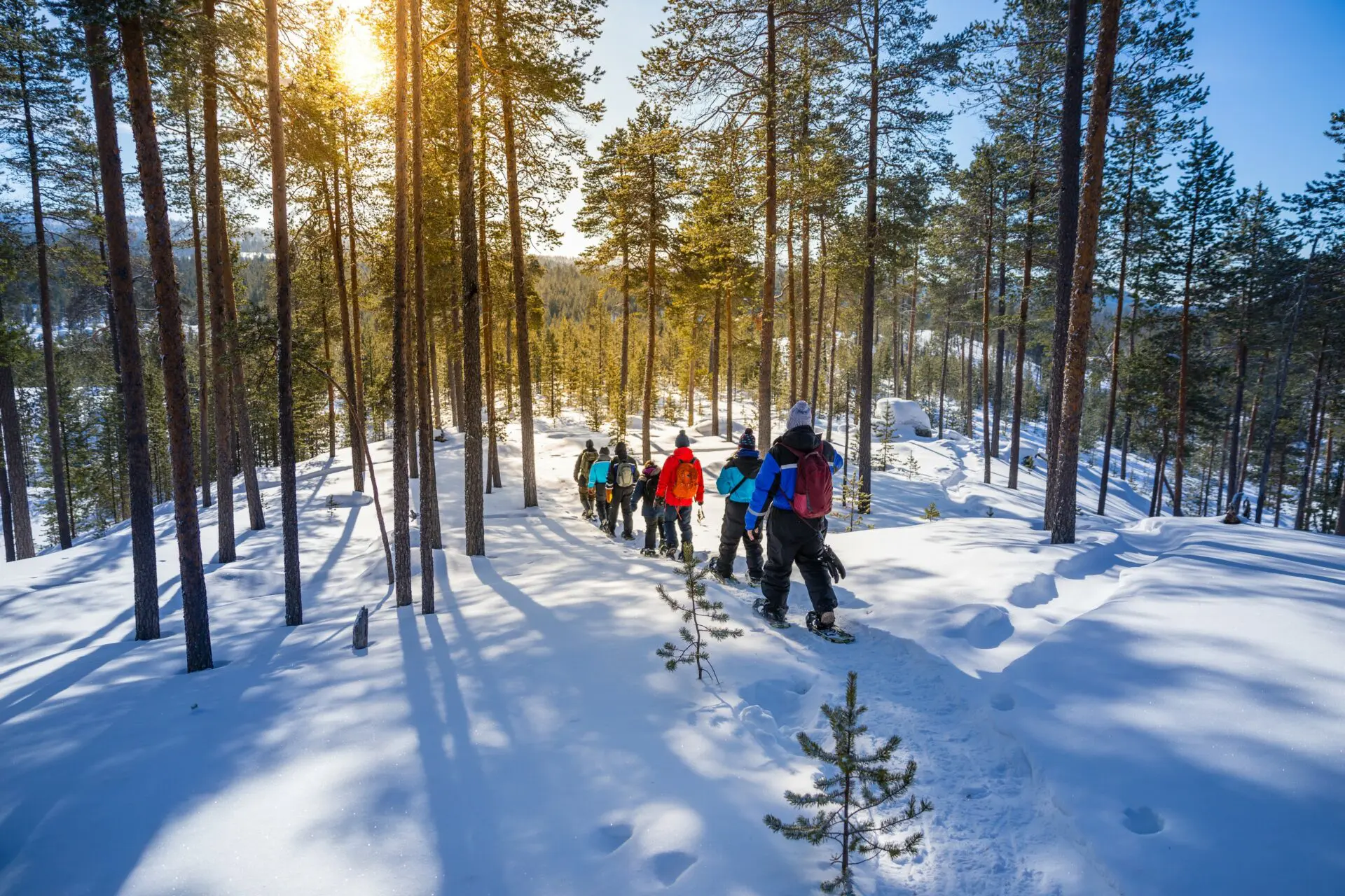 Vakantie in Muotka Lapland